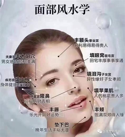 女人 木偶 紋 面相|木偶紋面相：傳統藝術中的獨特符號【木偶紋面相】 –